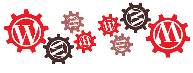 Logo Wordpress w postaci kół zębatych