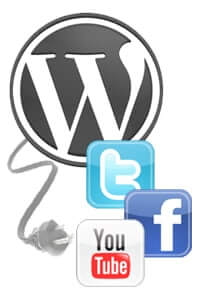 wordpress-social-media-plug